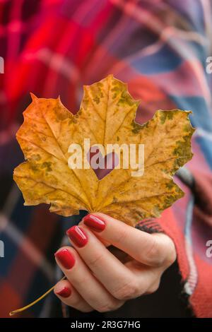 Stylische rote Nägel für Frauen. Fallblatt mit Loch in Herzform in den Händen. Moderne, wunderschöne Maniküre. Herbstnageldesign-Konzept von Stockfoto