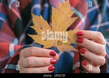 Stylische rote Nägel für Frauen. Herbstlaub mit Text HERBST in den Händen. Moderne, wunderschöne Maniküre. Herbstnageldesign-Konzept von Beauty t Stockfoto