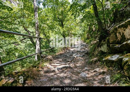 Ziel Bodetal im Harz-Gebirge Sachsen-Anhalt Stockfoto