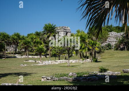 Die erhaltenen Ruinen von Tulum befinden sich an der karibischen Küste der mexikanischen Halbinsel Yucatan Stockfoto