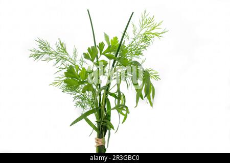 Ein Bündel frischer Küchenkräuter auf Weiß Stockfoto