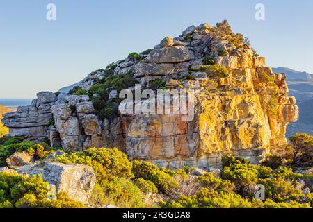 Zerklüftete Berglandschaft mit Fynbos-Flora in Kapstadt Stockfoto