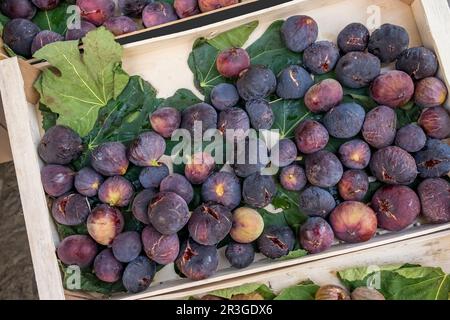 Reife Feigen (Ficus Carica) Stockfoto