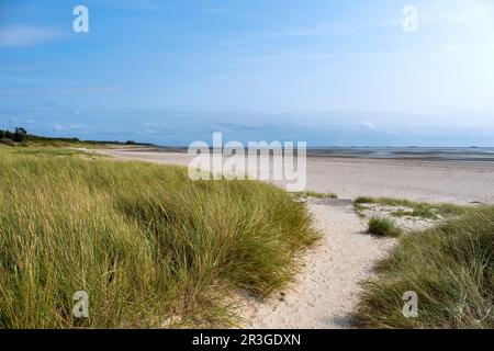 Strand zwischen Nieblum und Wyk, Nordseeinsel FÃ¶h. Stockfoto