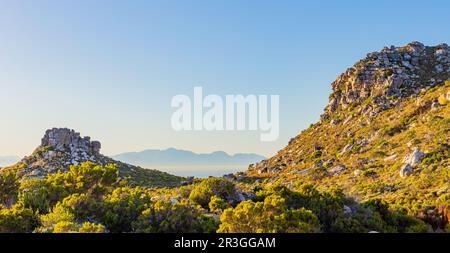 Küstenlandschaft mit Fynbos-Flora in Kapstadt Stockfoto