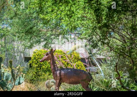 Skulpturierte Metallhirsche im Tohono Chul Park, Tucson, Arizona, USA Stockfoto