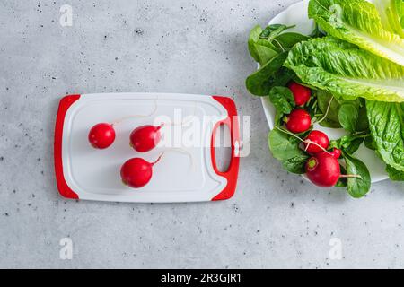 Frische Radieschen, Romaune-Salat und Baby-Spinat aus nächster Nähe auf dem Küchentisch. Frühlingssalatrezept Stockfoto