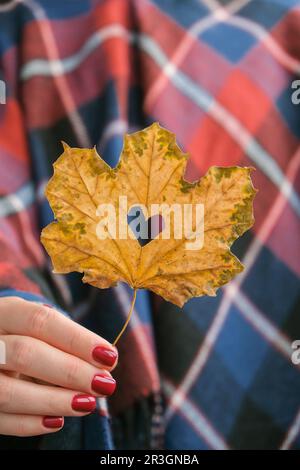 Stylische rote Nägel für Frauen. Fallblatt mit Loch in Herzform in den Händen. Moderne, wunderschöne Maniküre. Herbstnageldesign-Konzept von Stockfoto