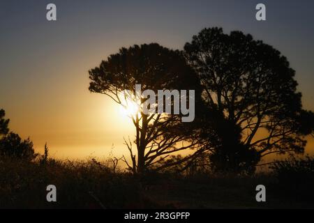 Sonnenuntergang über Lionhead, Kapstadt, Südafrika Stockfoto