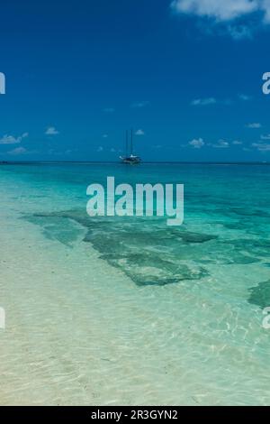 Sehr klares, türkisfarbenes Wasser auf Monuriki oder vergossene Insel, Mamanuca Inseln, Fidschi Stockfoto