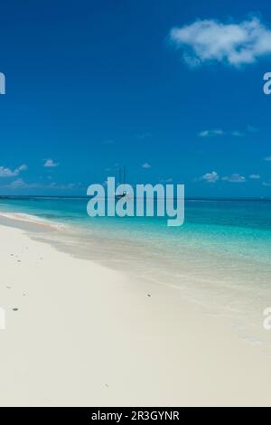 Wunderschöner weißer Sandstrand auf Monuriki oder Ausgefallene Insel, Mamanuca Inseln, Fidschi Stockfoto