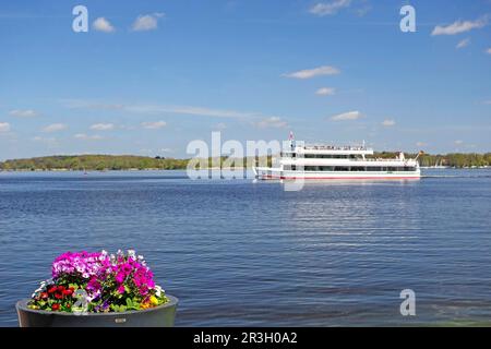 Blumenarrangements, Ausflugsboot, Zwischenahner Meer, Bad Zwischenahn, Ammerland, Deutschland Stockfoto