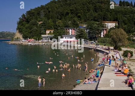 Fiesa Bay, Piran, Istrien, Adria, Slowenien Stockfoto