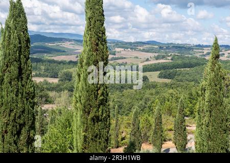 Abtei von San Galgano in der Provinz Siena, Toskana, Italien. Stockfoto