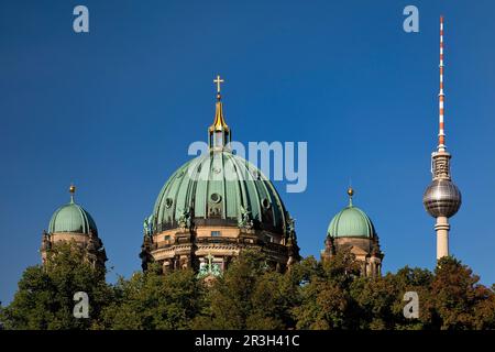 Berliner Dom und Fernsehturm, Mitte, Berlin, Deutschland, Europa Stockfoto