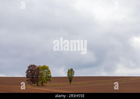 Bilder der Herbststimmung aus dem Harz-Gebirge Stockfoto