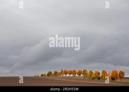 Bilder der Herbststimmung aus dem Harz-Gebirge Stockfoto