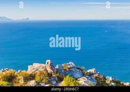 Küstenlandschaft mit Fynbos-Flora in Kapstadt Stockfoto