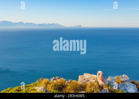 Küstenlandschaft mit Fynbos-Flora in Kapstadt Stockfoto