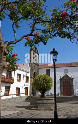 Iglesia de Salvador am Plaza de Espagna in Santa Cruz de La Palma, La Palma, Kanarische Inseln, Spanien Stockfoto