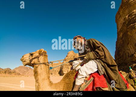 Beduinen mit Kamelen in der Wüste, Wadi Rum, Jordanien Stockfoto