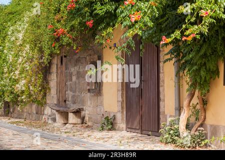 Quedlinburg Gassen Stockfoto