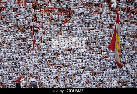 Choreographie, Fans halten Schilder auf, die KOAN-VERKAUF gegen DFL Investor, Allianz Arena, München, Bayern, Deutschland, anzeigen Stockfoto