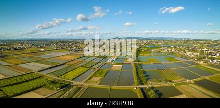 Panoramablick auf überflutete Reisfelder im Gitter am Rande einer kleinen ländlichen Stadt Stockfoto