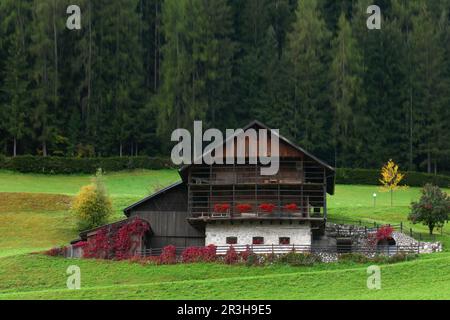 Bergfarm in Ortisei in Val Gardena Stockfoto