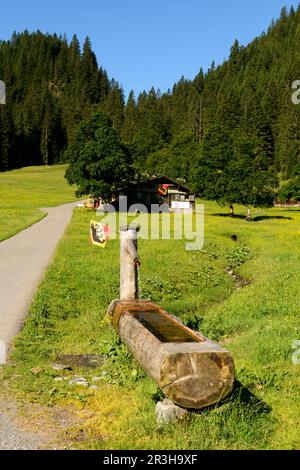 Alpine Hut, Brunnen, Rosenlauital, August 2013, Berner Oberland, Die Schweiz Stockfoto