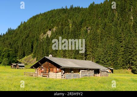 Alpenhütte, Rosenlauital, August 2013, Berner Oberland, Schweiz Stockfoto