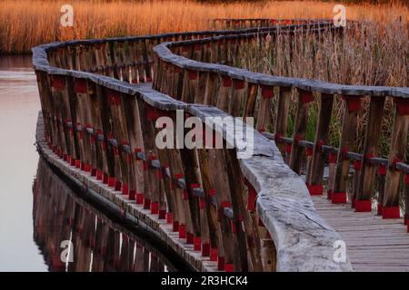 Pasarelas al Amanecer, Parque Nacional Tablas de Daimiel, Ciudad Real, Kastilien-La Mancha, Spanien, Europa. Stockfoto