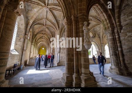 Claustro, construido Entre 1317 y 1340, estilo Gótico, Catedral de Évora, Sé Catedral Basílica de Nossa Senhora da Assunção, Évora, Alentejo, Portugal. Stockfoto