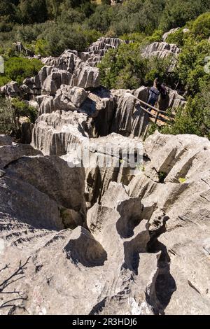 Puig de ses Monges, lapiaz, Lluc, Sierra de Tramuntana, Mallorca, Balearen, Spanien, Europa. Stockfoto