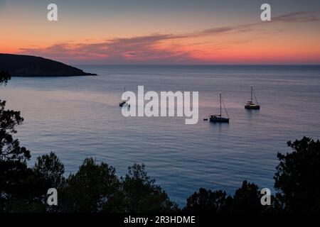 veleros fondeados frente a Cala Xarraca, Ibiza, balearen, Spanien. Stockfoto