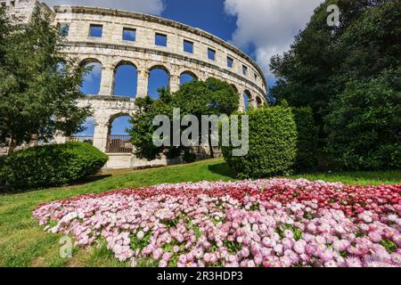 anfiteatro de Pula, Pula, Peninsula de Istria, Croacia, europa. Stockfoto