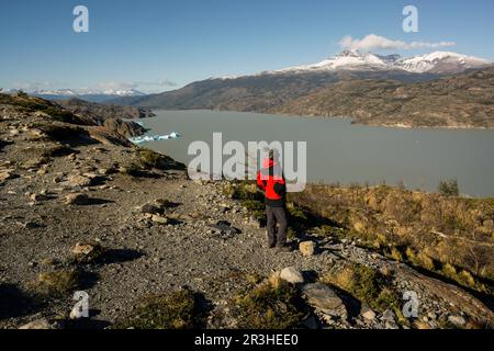 Tempanos en el lago Grey, valle del lago Grey, Trekking W, Parque nacional Torres del Paine,Sistema Nacional de Áreas Silvestres Protegidas del Estado de Chile.Patagonia, República de Chile,América del Sur. Stockfoto