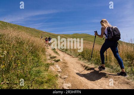 Senderistas en la cresta de polonina Carynska, Parque nacional Bieszczady, Reserva de la UNESCO llamada Reserva de la biosfera Carpática oriental, voivodato de la Pequeña Polonia, Cárpatos, Polonia, osteuropa. Stockfoto