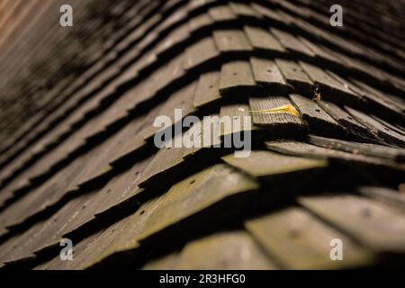 Holzdach, Kirche St. Philip und Jakob, erbaut 1516 , Skowa, woiwodschaft von Little Poland, Karpaten, Polen, europa. Stockfoto