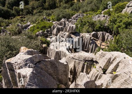 Puig de ses Monges, lapiaz, Lluc, Sierra de Tramuntana, Mallorca, Balearen, Spanien, Europa. Stockfoto