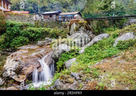 Toktok. Sagarmatha Nationalpark, Khumbu Himal, Nepal, Asien. Stockfoto