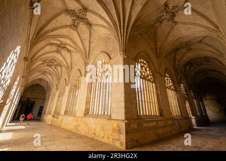 Claustro, Catedral de Santa María de la Asunción, El Burgo de Osma, Soria, Comunidad Autónoma de Castilla y León, Spanien, Europa. Stockfoto