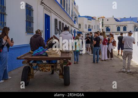 Pferdekutsche unter Touristen, Asilah, marokko, afrika. Stockfoto