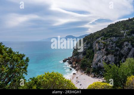 Der berühmte Strand von Cala Sisine am Golf von Orosei in Sardinien, Italien Stockfoto