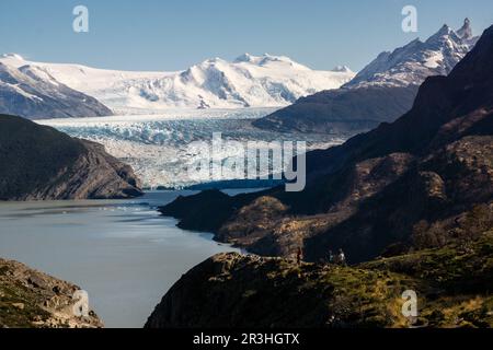 glaciar Grey, valle del lago Grey, Trekking W, Parque nacional Torres del Paine, Sistema Nacional de Áreas Silvestres Protegidas del Estado de Chile. Patagonia, República de Chile, América del Sur. Stockfoto