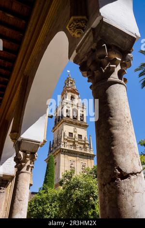 Torre Campanario Sobre el Alminar, Patio de Los Naranjos, Mezquita-Catedral de Córdoba, Andalusien, Spanien. Stockfoto