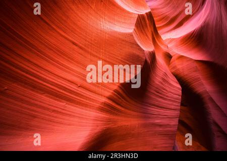 Die wahre Attraktion ist die flammende Welle des unterirdischen Labyrinths der farbenfrohen Sandsteinwände des Lower Antelope Canyon in Page Arizona Stockfoto