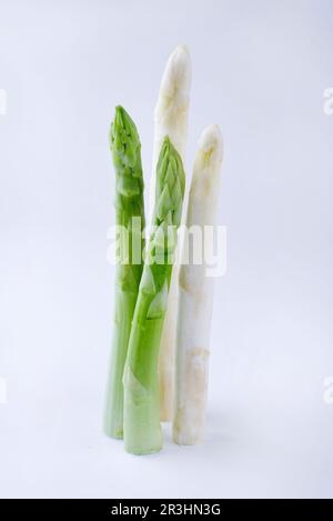 Zwei rohe weiße und grüne Spargelspieße als Designelement auf weißem Hintergrund mit Kopierbereich Stockfoto