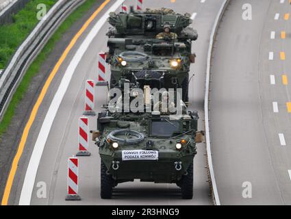 Dresden, Deutschland. 24. Mai 2023. US-Militärfahrzeuge fahren morgens auf der Autobahn A4 nahe Dresden. US-Streitkräfte hatten an der NATO-Übung "Griffin Shock" in Polen teilgenommen. Kredit: Robert Michael/dpa/Alamy Live News Stockfoto