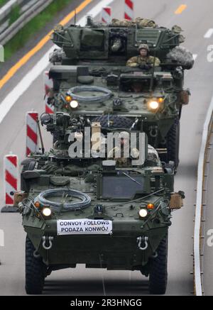 Dresden, Deutschland. 24. Mai 2023. US-Militärfahrzeuge fahren morgens auf der Autobahn A4 nahe Dresden. US-Streitkräfte hatten an der NATO-Übung "Griffin Shock" in Polen teilgenommen. Kredit: Robert Michael/dpa/Alamy Live News Stockfoto